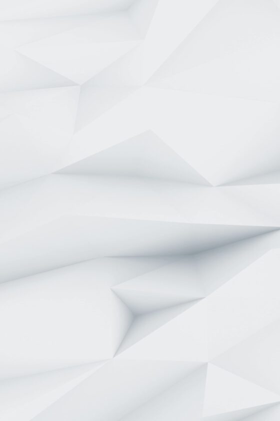 demo image 00004